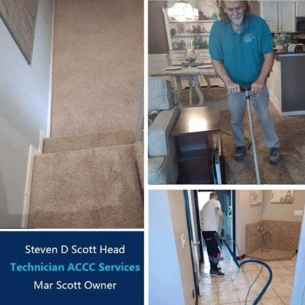 carpet clean services design