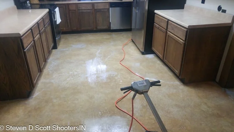 coupon special carpet cleaning