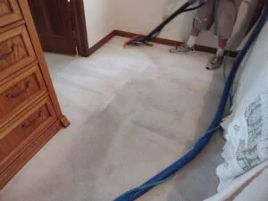 Scrubb then steam clean the carpet