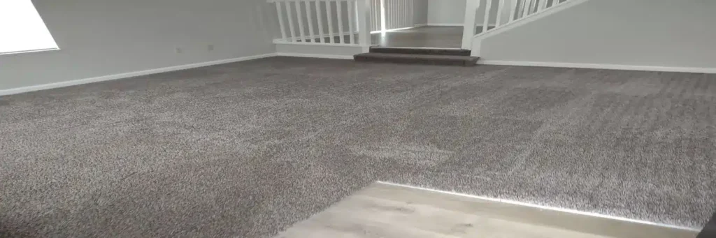 Carpet Cleaning living area before after