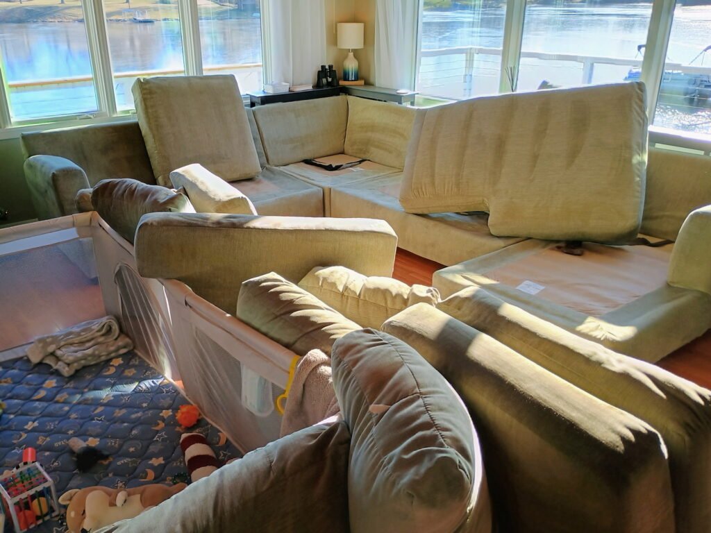 upholstery clean sectional plus more