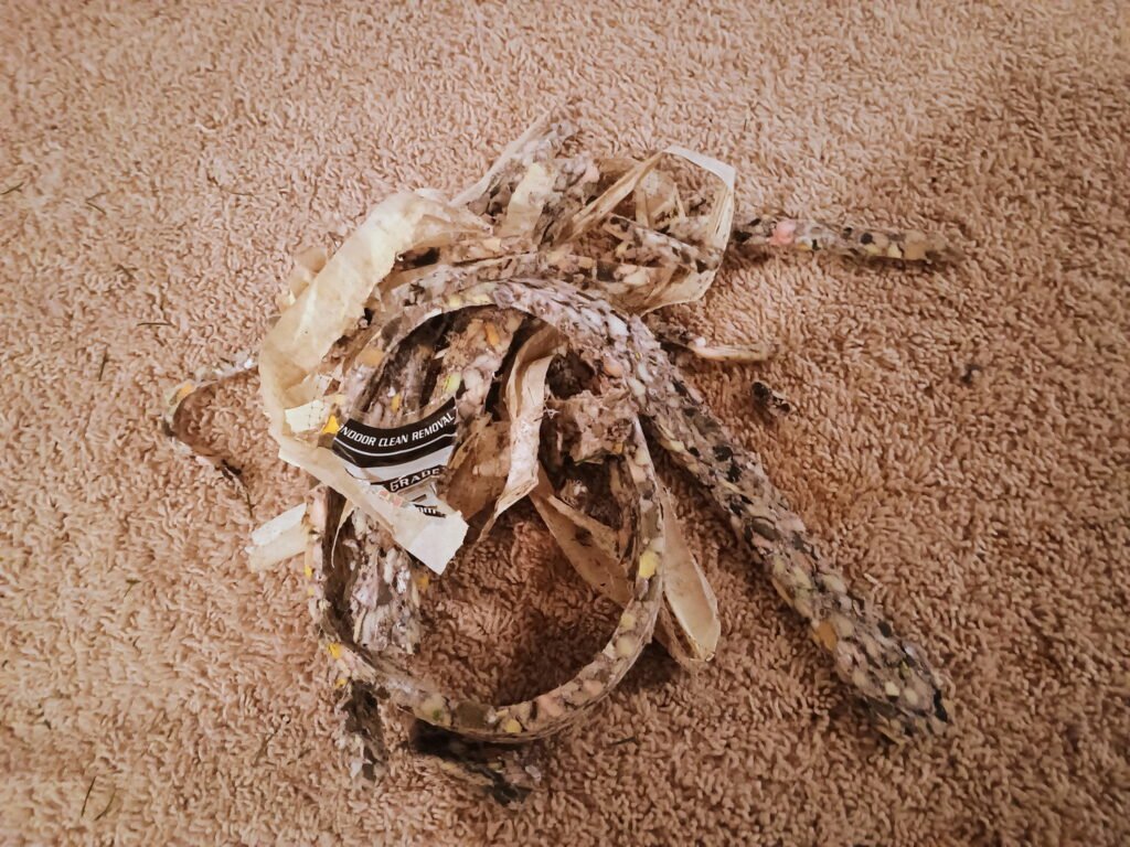 Excess carpet From Stretching carpet wall to wall