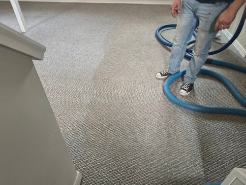 large open aree Carpet clean before after
