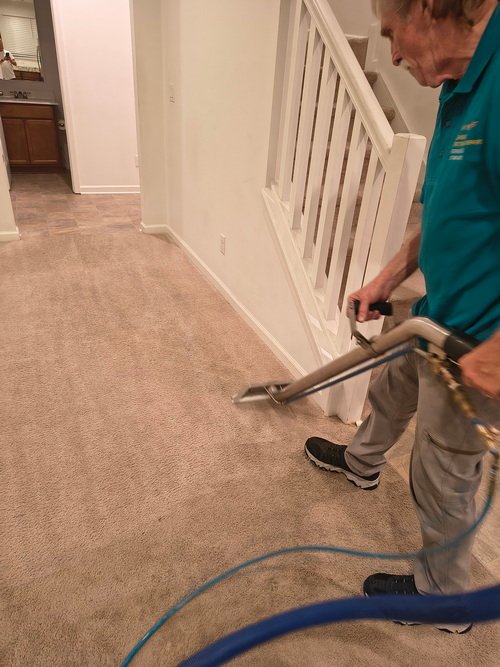 carpet clean before after living area