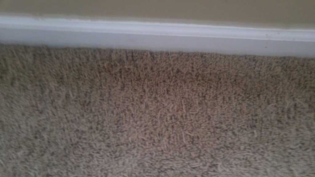 After Repair finished results