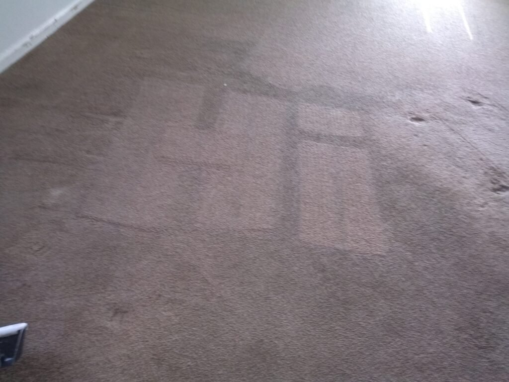 Carpet Clean Scrubbing close up before after