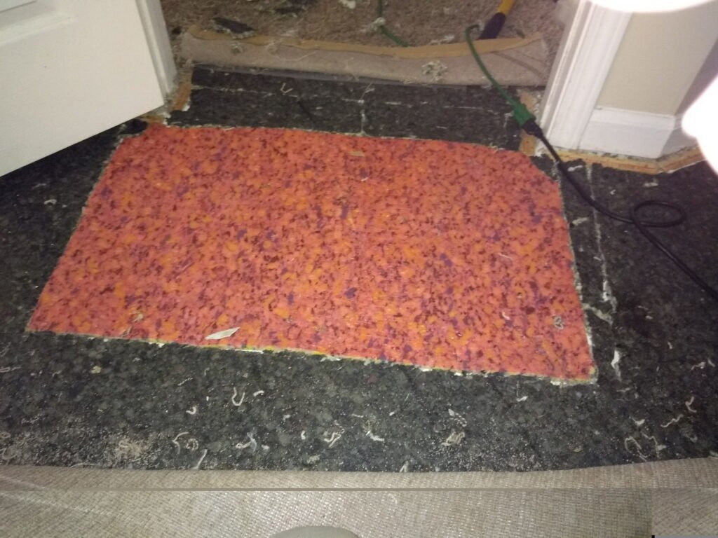 Larg area repair before from pet damage